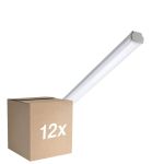 Multipack 12x Philips Stagna LED WT060C 20W 2500lm - 840 Bianco Freddo | 120cm