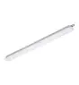 Philips Stagna LED CoreLine WT120C G2 24.3W 3100lm - 840 Bianco Freddo | 150cm